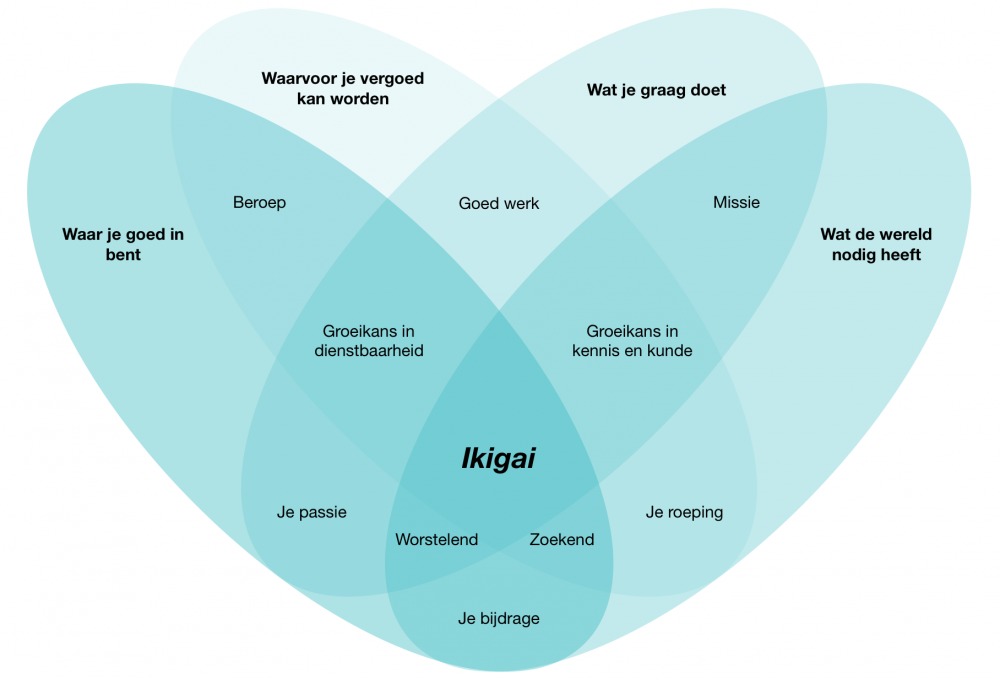 Visie Ikigai: het beroep als een roeping voor voldoening